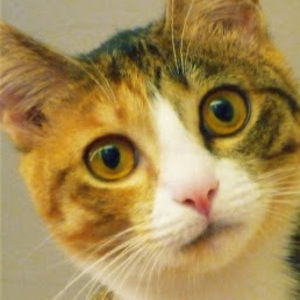 Meet your Posher, Maile